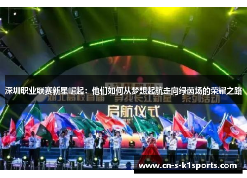深圳职业联赛新星崛起：他们如何从梦想起航走向绿茵场的荣耀之路