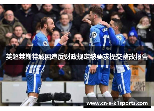 英超莱斯特城因违反财政规定被要求提交整改报告