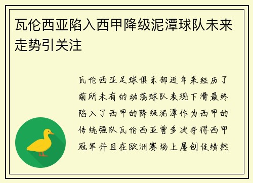 瓦伦西亚陷入西甲降级泥潭球队未来走势引关注